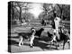 Dog Walkers in Central Park-Alfred Eisenstaedt-Premier Image Canvas