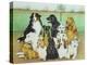 Dog Watch-Pat Scott-Premier Image Canvas