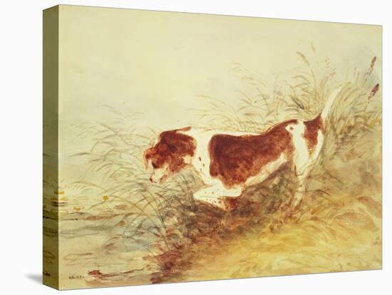 Dog Watching a Rat in the Water at Dedham-John Constable-Premier Image Canvas