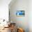 Dog Watching-Javier Brosch-Premier Image Canvas displayed on a wall