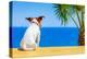 Dog Watching-Javier Brosch-Premier Image Canvas