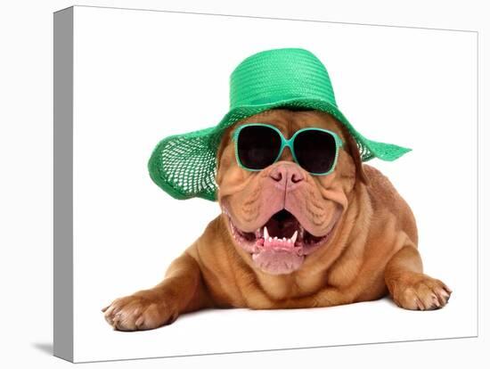 Dog Wearing Green Straw Hat And Sun Glasses, Isolated-vitalytitov-Premier Image Canvas