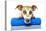 Dog With A Beauty Mask-Javier Brosch-Premier Image Canvas