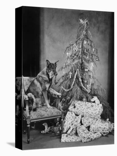 Dog with Christmas Tree and Presents-null-Stretched Canvas