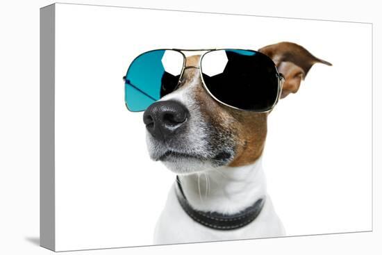 Dog With Funny Shades-Javier Brosch-Premier Image Canvas