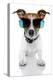 Dog with Funny Shades-Javier Brosch-Premier Image Canvas