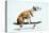 Dog with Helmet Skateboarding-Chris Rogers-Premier Image Canvas