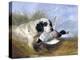 Dog with Wild Duck, 19th Century-Richard Ansdell-Premier Image Canvas