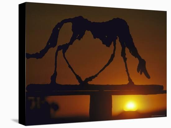 Dog-Alberto Giacometti-Premier Image Canvas