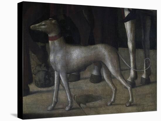 Dog-Michelle da Verona-Premier Image Canvas