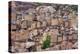 Dogon village, Mali-Art Wolfe-Premier Image Canvas