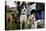 Dogs at Dog Show-Tim Kahane-Premier Image Canvas