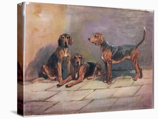 Dogs, Illustration from 'Hounds'-Thomas Ivester Lloyd-Premier Image Canvas