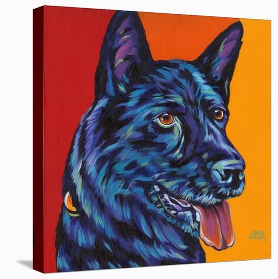 Dogs in Color I-Carolee Vitaletti-Stretched Canvas