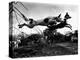 Dogs Leaping Over Wire Fence-Layne Kennedy-Premier Image Canvas