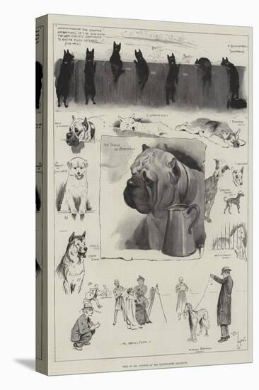 Dogs of All Nations at the Westminster Aquarium-Cecil Aldin-Premier Image Canvas