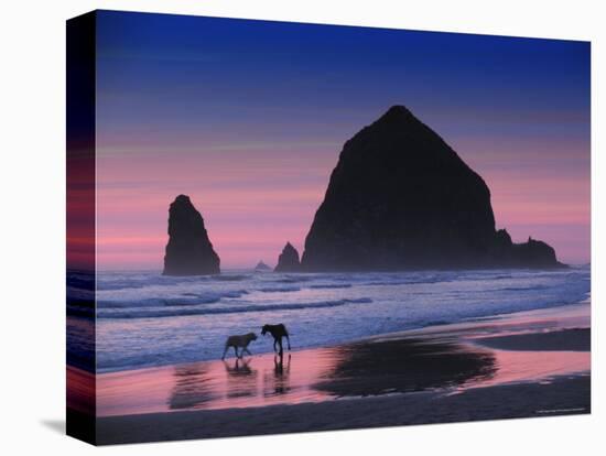 Dogs on Cannon Beach-Jody Miller-Premier Image Canvas