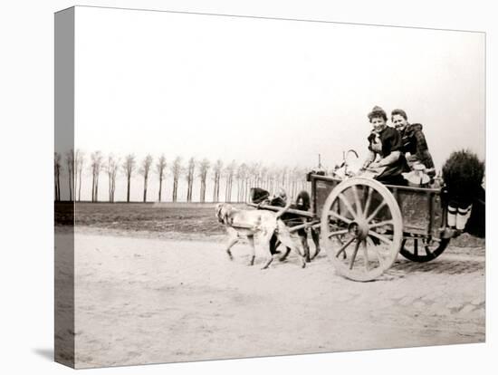 Dogs Pulling Women on a Cart, Antwerp, 1898-James Batkin-Premier Image Canvas