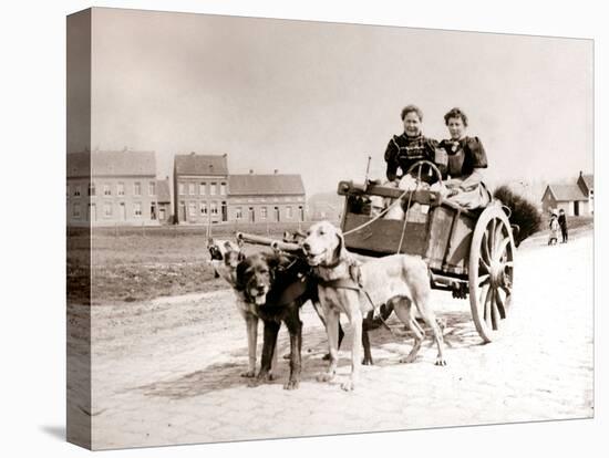 Dogs Pulling Women on a Cart, Antwerp, 1898-James Batkin-Premier Image Canvas