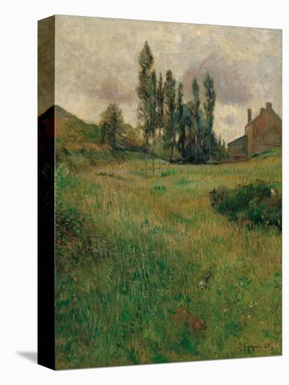 Dogs Running in a Meadow, 1888-Paul Gauguin-Premier Image Canvas
