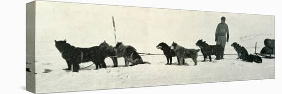 'Dogs with Stores About to Leave Hut Point', c1911, (1913)-Herbert Ponting-Stretched Canvas