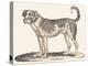 Dogue, 1850 (Engraving)-Louis Simon (1810-1870) Lassalle-Premier Image Canvas