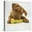 Dogue De Bordeaux Puppy Chewing on Toy, 15 Weeks-Jane Burton-Premier Image Canvas