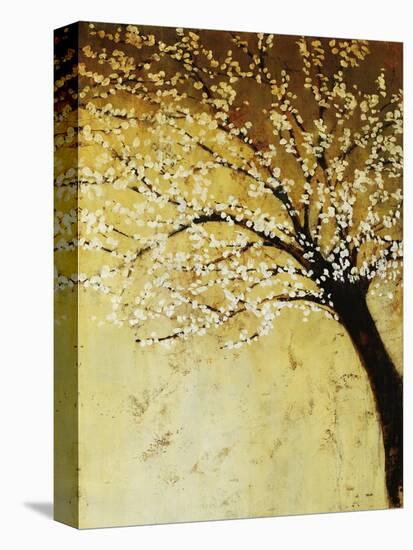 Dogwood at Dusk II-Kari Taylor-Premier Image Canvas