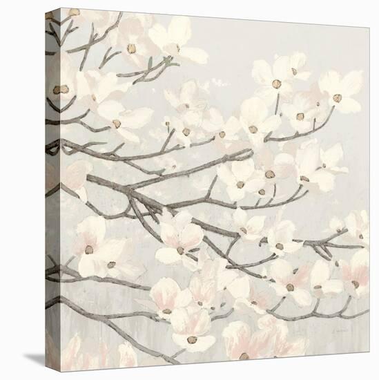 Dogwood Blossoms II Gray-James Wiens-Stretched Canvas