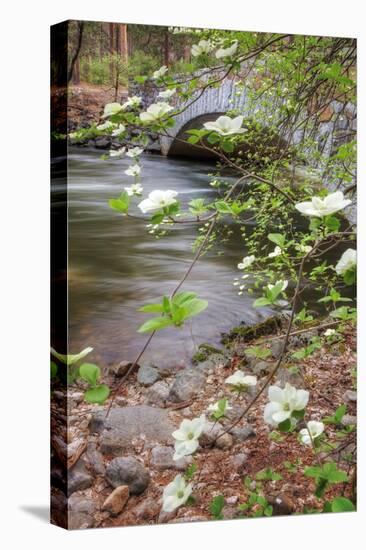 Dogwood Bridge-Vincent James-Premier Image Canvas