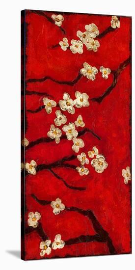 Dogwood Clusters II-Anne Hempel-Stretched Canvas