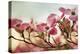 Dogwood Dreams-Jessica Jenney-Premier Image Canvas