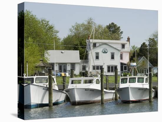 Dogwood Harbour, Tilghman Island, Talbot County, Chesapeake Bay Area, Maryland, USA-Robert Harding-Premier Image Canvas