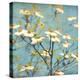 Dogwood I - Blossoming Tree-Amy Melious-Stretched Canvas