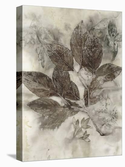 Dogwood Leaves II-Kathryn Phillips-Stretched Canvas