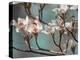 Dogwood Spring IV-Sharon Chandler-Premier Image Canvas