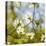Dogwood Tree Flowers-Richard T. Nowitz-Premier Image Canvas