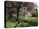 Dollar in Spring, Central Region, Scotland, United Kingdom-Kathy Collins-Premier Image Canvas