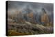 Dolomites, Italy-Art Wolfe-Premier Image Canvas