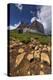 Dolomites, Sassolungo, Rock Formations-Niki Haselwanter-Premier Image Canvas