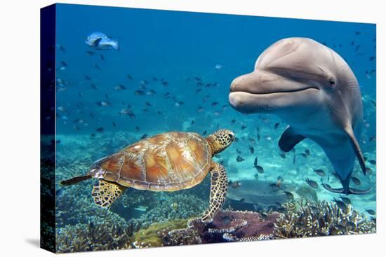 Dolphin and Turtle Underwater on Reef Background Looking at You-Andrea Izzotti-Premier Image Canvas