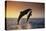 Dolphin Breaching the Oceans Surface-DLILLC-Premier Image Canvas