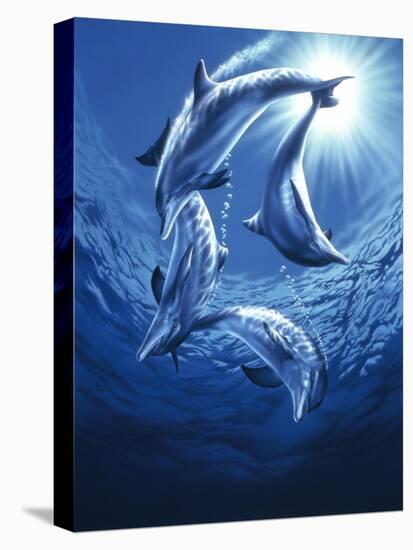 Dolphin Swing-Joh Naito-Premier Image Canvas