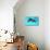 Dolphin With A Baby Floating In The Water-Elena Larina-Premier Image Canvas displayed on a wall
