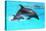 Dolphin With A Baby Floating In The Water-Elena Larina-Premier Image Canvas