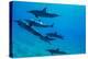 Dolphins Swimming in Pacific Ocean, Hawaii, USA-null-Premier Image Canvas