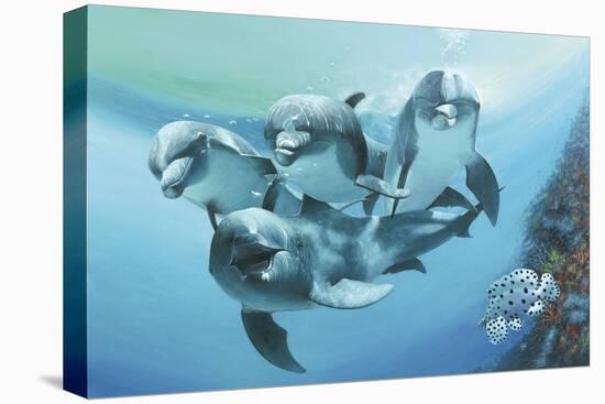 Dolphins-Durwood Coffey-Premier Image Canvas