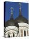 Domes of the Alexander Nevsky Cathedral, Russian Orthodox Church, Toompea Hill, Tallinn, Estonia-Neale Clarke-Premier Image Canvas