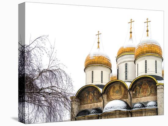 Domes of the Assumption Cathedral in Kremlin, Moscow, Russia-Nadia Isakova-Premier Image Canvas