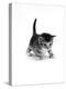 Domestic Cat, 3-Week Ticked-Tabby Kitten-Jane Burton-Premier Image Canvas